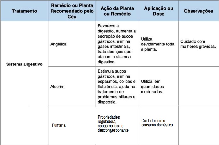 Fortalecer o Sistema Digestivo