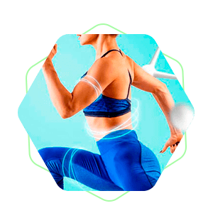 metabolismo